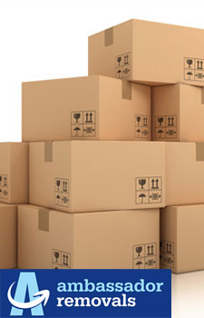 about-ambassador-removals
